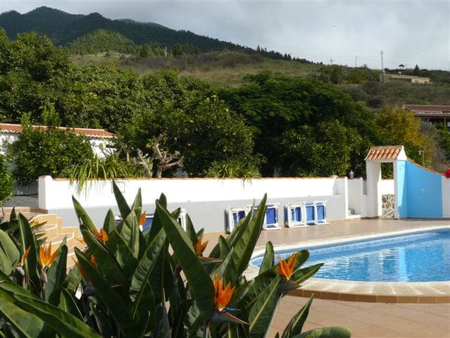 Casitas Rosheli - Image 4