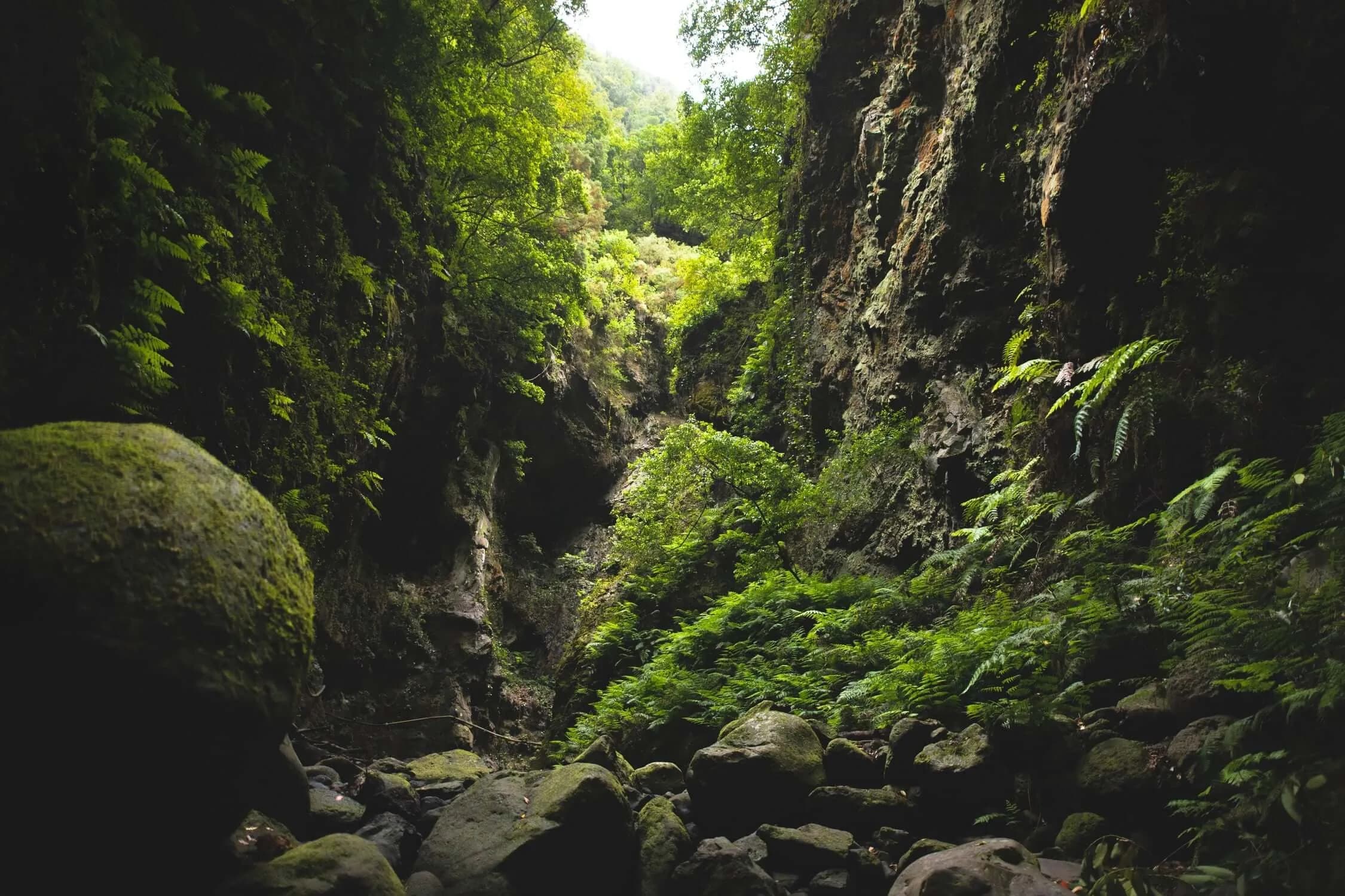 La Palma